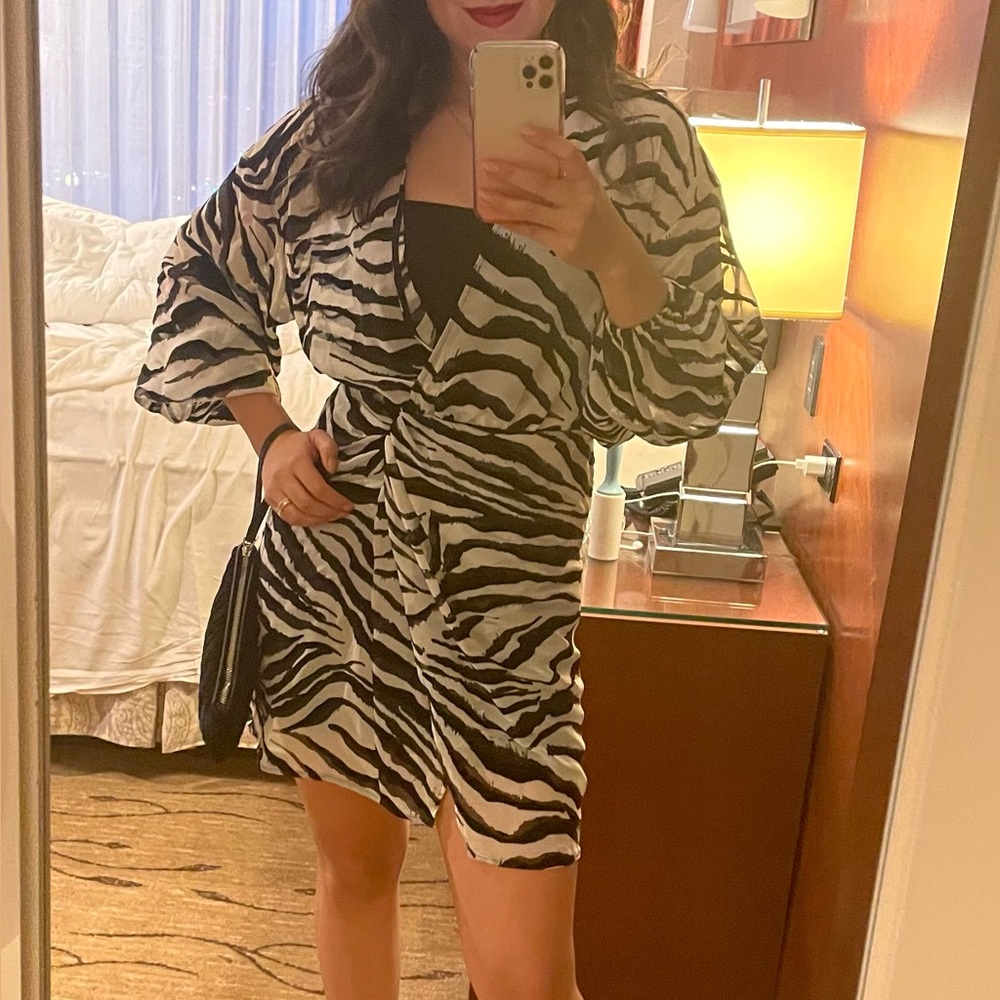 Zara Black and White Zebra Print Dress
